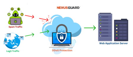 Spam traffic blocked by DDoS protection while legitimate traffic reaches the web application server